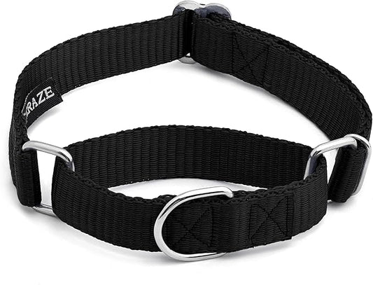 Martingale Dog Collar - Heavyduty Nylon Dog Collar with No Buckle Dog Training Collars for Medium Dogs (Black, Large)