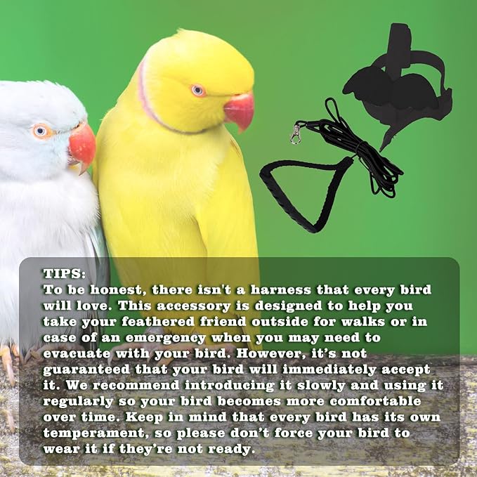 Adjustable Bird Leashes and Harnesses, Bird Nylon Harness with Cute Wing for Parrots, Pet Bird Accessories, Bird Leash for Hang Out, Suitable for Cockatiel, Quaker, Amazon Parrot and Same Size Birds