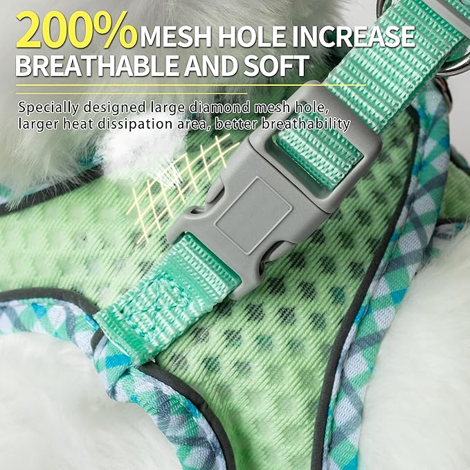 Tiny Dog Harness, All Weather Diamond Mesh, Reflective Stripes, No Pull Step in Lightweight Vest Harness for Puppy, Small Dogs and Cats Sage XXXS