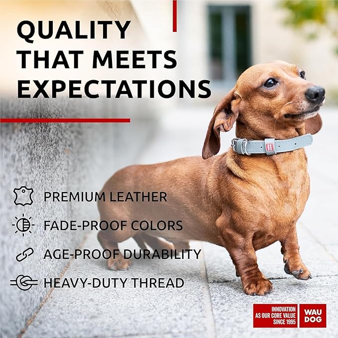 WAUDOG Long Lasting Leather Dog Collar for Large Dogs, Medium & Small Dogs - Adjustable Classic Puppy Collars for Large Breed Dogs - Boy & Girl Dog Collars with Durable Buckle, D-Ring & QR Dog Tag