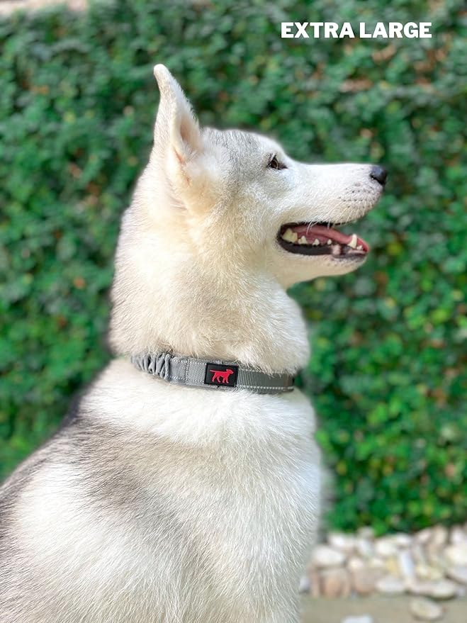 Heavy Duty Dog Collar with Handle | Ballistic Nylon Heavy Duty Collar | Padded Reflective Dog Collar with Adjustable Stainless Steel Hardware | Convenient Sizing for All Breeds X-Large (19-23" Neck)