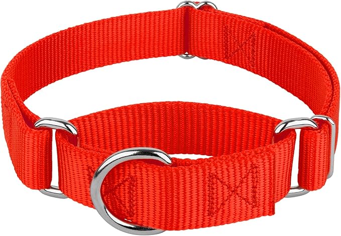 Country Brook Petz Martingale Dog Collar - Heavy-Duty Training Collar with No Buckle - Service Dog Collar for All Pups - Vibrant, Colorful Collection (Hot Orange, 1 Inch, Extra Large)