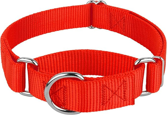 Country Brook Petz Martingale Dog Collar - Heavy-Duty Training Collar with No Buckle - Service Dog Collar for All Pups - Vibrant, Colorful Collection (Hot Orange, 1 Inch, Extra Large)