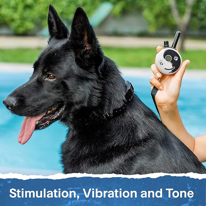 Educator Mini ET-300 Zen - 1/2 Mile Ecollar Dog Training Collar with Remote - Small, Medium, Large Dogs - Static, Vibration & Tone Electric Training Collar for Dogs by E-Collar Technologies