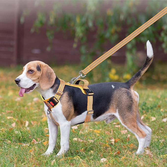 Petmolico No Pull Dog Harness Leash Set, Front and Back Metal Clips Easy Walk Dog Harness with Handle for Training Outdoor Adventures, Yellow Medium