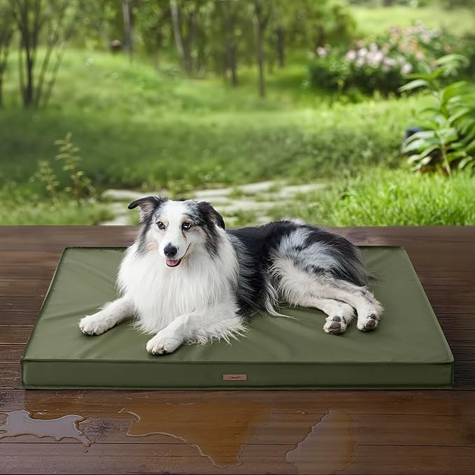 Lesure Outdoor Waterproof Dog Beds Large Sized Dog, Orthopedic Egg Crate Foam Pet Bed with Oxford Fabric Surface and Removable Washable Cover, Pet Mat 36''x27'', Green