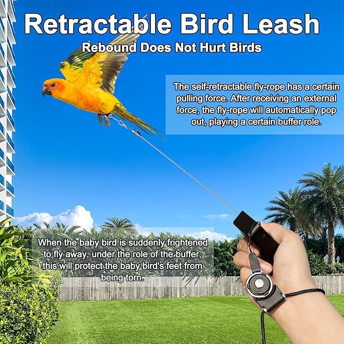 Bird Leash,Bird Harness,Retractable Anti-Bite Parrot Harness,with 3 Different Sizes of Soft Foot Ring,for Birds Outdoor Flight Training,for Budgies,Cockatiels,Psittacula Longicauda,Mini Macaws,6.5Ft