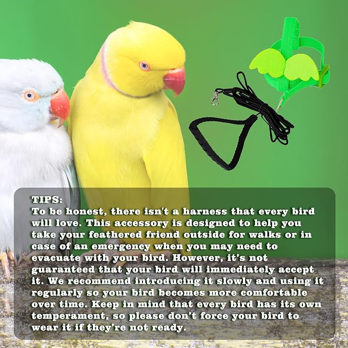 Adjustable Bird Leashes and Harnesses, Bird Nylon Harness with Cute Wing for Parrots, Pet Bird Accessories, Bird Leash for Hang Out, Suitable for Cockatiel, Quaker, Amazon Parrot and Same Size Birds