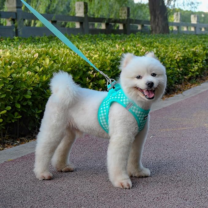 AIITLE Adjustable Dog Harness and Leash Set, Step in No Pull Pet Harness, Soft Mesh Reflective Plaid Vest Harnesses for Small Dogs Puppy and House Cats Outdoor Walking Running Turquoise XS