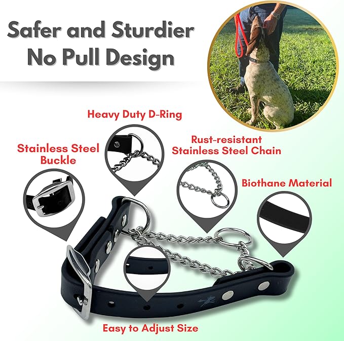 Martingale Collar for Dogs, Biothane, Stainless Steel Hardware, No Pull, Made in The USA, Professional Grade. Large, Black