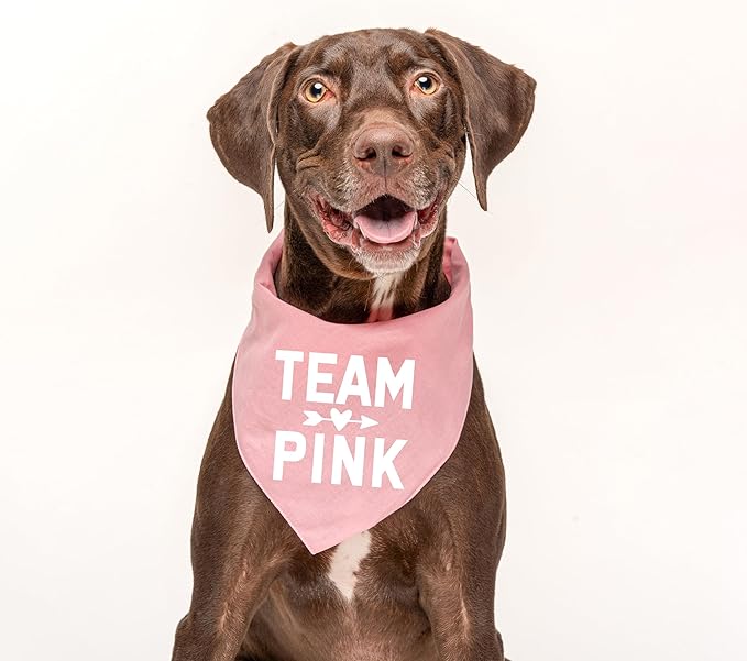 Team Pink | 100% Cotton Adjustable Triangle | Made in USA | Pregnancy Announcement Photoshoot Prop | New Baby | Gender Reveal | Baby Pink One Size (210)