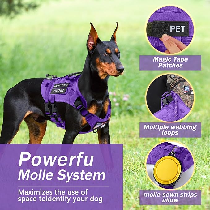 No Pull Tactical Dog Harness for Small Dogs, Escape Proof Molle Dog Vest Harness and Leash Set, Adjustable Military Service Dog Harness with Handle for Medium Large Dogs(Purple, Small)