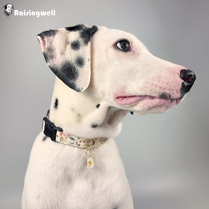 Cute Dog Collar Beige Flower Pattern for Boys and Girls Holiday Dog Collars Summer Fall Gift Adjustable for Small to Medium Breed Dogs (XS)