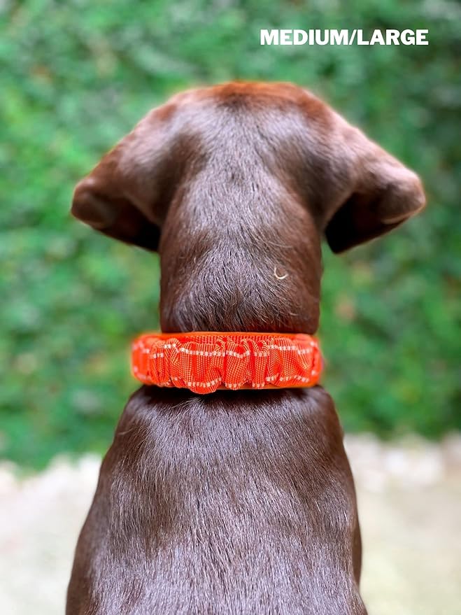 Heavy Duty Dog Collar With Handle | Ballistic Nylon Heavy Duty Collar | Padded Reflective Dog Collar With Adjustable Stainless Steel Hardware | Convenient Sizing for All Breeds