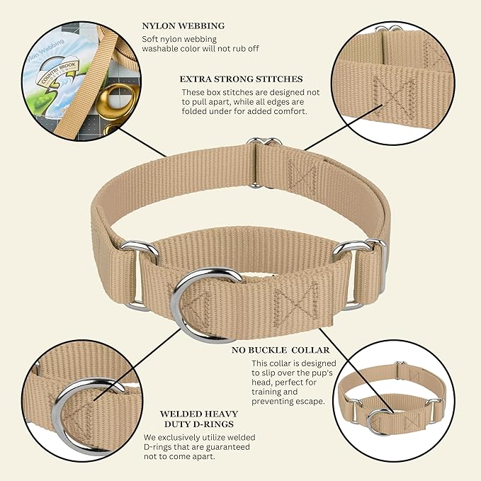Country Brook Petz Martingale Dog Collar - Heavy-Duty Training Collar with No Buckle - Service Dog Collar for All Pups - Vibrant, Colorful Collection (Copper Gold, 3/8 Inch, 2XS)