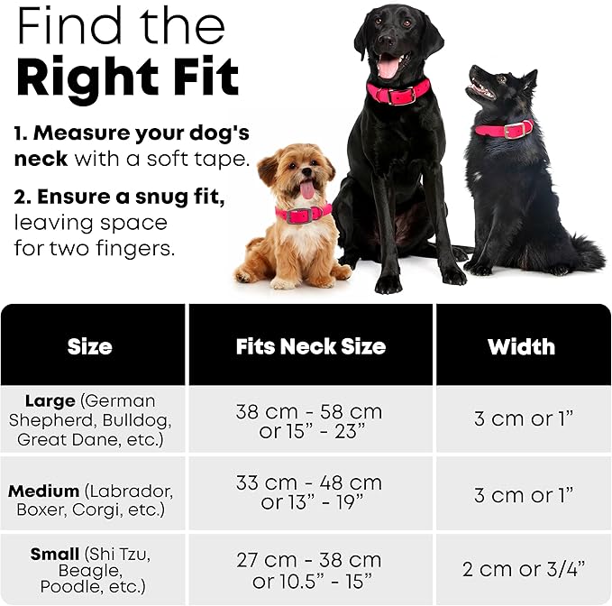Regal Dog Products Small Pink Heavy Duty Reflective Dog Collar with Durable Metal Buckle and D Ring Adjustable, Chew Proof & Waterproof Strong Small Dog Collar Other Sizes for Medium & Large Dogs