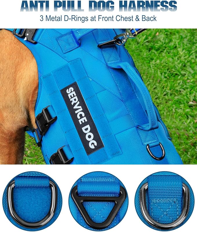 Tactical Dog Harness - PETNANNY Dog Harness Service Dog Vest for Large Breed Dog, Hook and Loop Panel for Service Dog Patchs, Work Dog MOLLE Vest with Handle for Walking Hiking Training(Blue,XL)