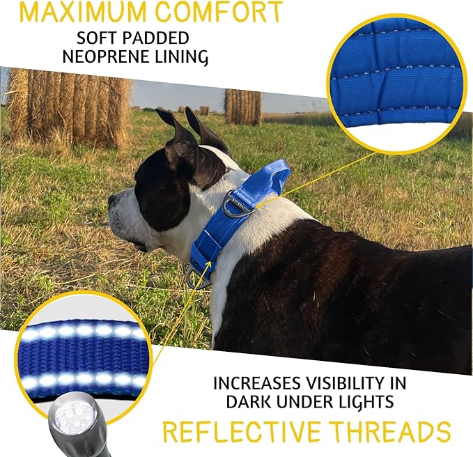 ADITYNA Heavy Duty Dog Collar for Extra-Large Dogs - Reflective Blue Purple Collar with Handle for Training, and Walking - Wide, Thick, Tactical, Soft Neoprene Padded