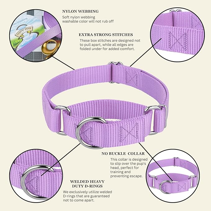 Country Brook Petz Martingale Dog Collar - Heavy-Duty Training Collar with No Buckle - Service Dog Collar for All Pups - Vibrant, Colorful Collection (Lavender, 3/8 Inch, 3XS)