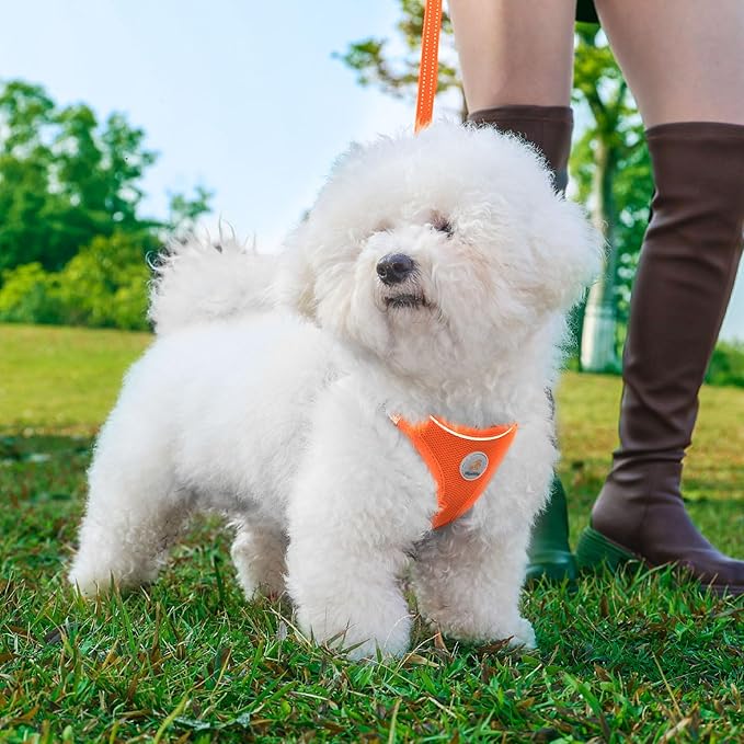 Dog Harness and Leash Set, No Pull Soft Mesh Pet Harness for Small Medium Dogs, Cats - Step in Adjustable Reflective Puppy Harness with Buckle and Double D-Rings - Orange, XS