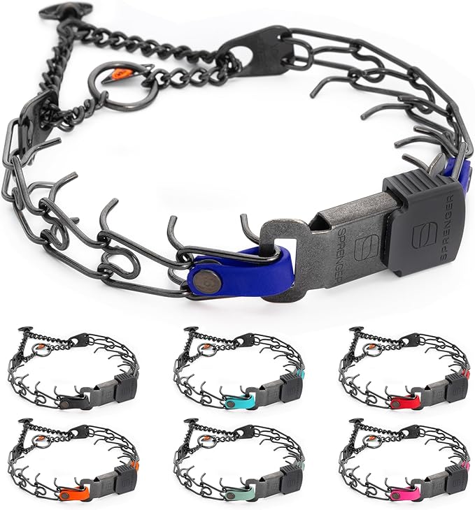 Herm Sprenger Black Stainless Steel Dog Collar with Quick Release ClicLock Buckle and Biothane Insert Training Collar Made in Germany (Blueberry Royal, 16in x 2.25mm(Neck Size up to 13-14in))