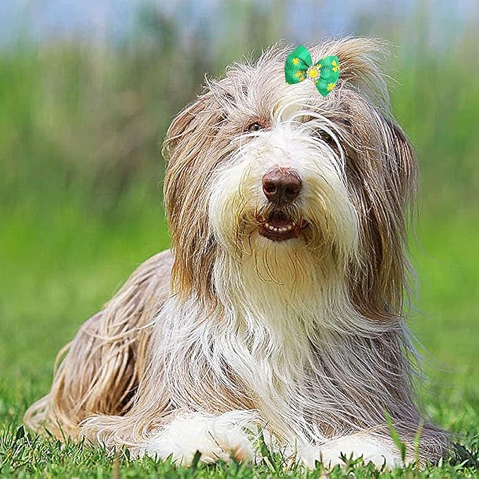 PET SHOW 20pcs St. Patrick's Day Small Dog Hair Bows with Rubber Bands for Medium Dogs Green Clover Puppies Cats Kittens Rabbits Topknot Grooming Costumes Hair Accessories