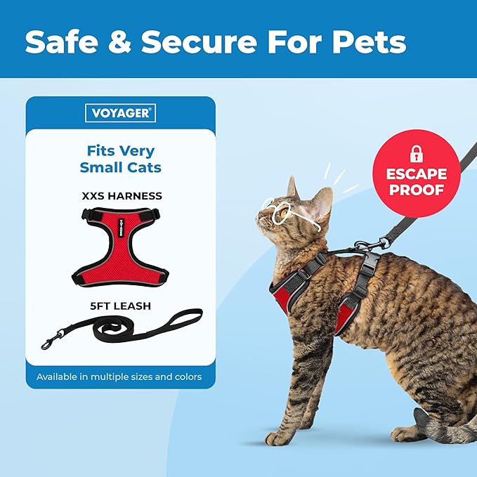 Voyager Escape Proof Cat Harness and Leash Set with Reflective Stitching, Neoprene Handle 5ft - Supports Small, Medium and Large Cats, Kittens for Walking by Best Pet Supplies - Black Trim-Red, XXS