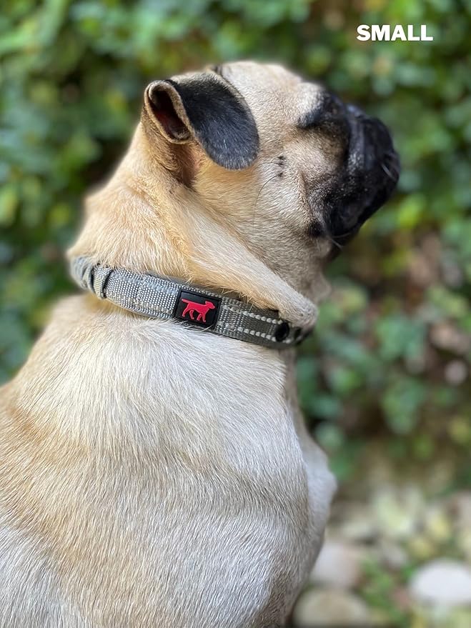 Heavy Duty Dog Collar with Handle | Ballistic Nylon Heavy Duty Collar | Padded Reflective Dog Collar with Adjustable Stainless Steel Hardware | Convenient Sizing for All Breeds