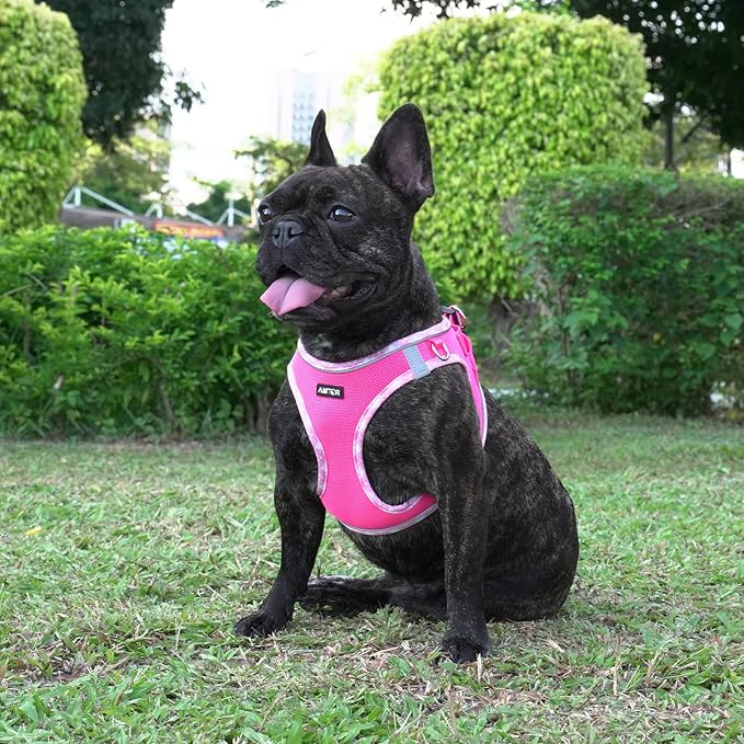 AMTOR Small Dog Harness with Leash Set, No Escape Easy Walk Puppy Harnesses for Training Walking, Step-in Reflective Soft Dogs Vest for XS S Medium Extra-Small Large Sized Dog(Fuchsia,XS)
