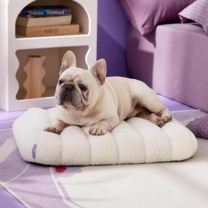Lesure Cute Orthopedic Dog Bed for Small Dogs, Waterproof Chic Flat Pet Beds with Removable Washable Cover, Fuzzy Thick Egg Crate Foam Pet Mat for Indoor Use (24" x 18", Cream)