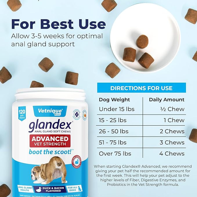 Vetnique Glandex Anal Gland Soft Chew Treats with Pumpkin for Dogs Digestive Enzymes, Probiotics Fiber Supplement for Dogs Boot The Scoot (Advanced Strength Duck/Bacon Chews (Vegetarian), 120 Ct)