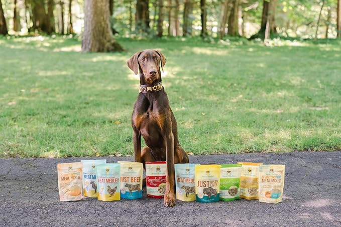 Just Bison Liver Freeze Dried Dog Treats USA Sourced and Small Batch Made - Human-Grade, All Natural Single Ingredient Dog Treat Without Artificial Preservatives, Grain Free - 2.5 oz