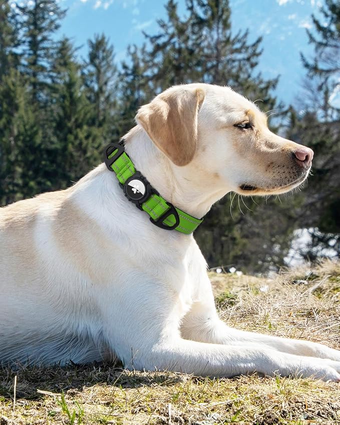 Joytale Airtag Dog Collar, Dual D-Rings, Reflective Pet Collar with Waterproof AirTag Holder, Soft Padded Adjustable for Medium Dogs, Green, M