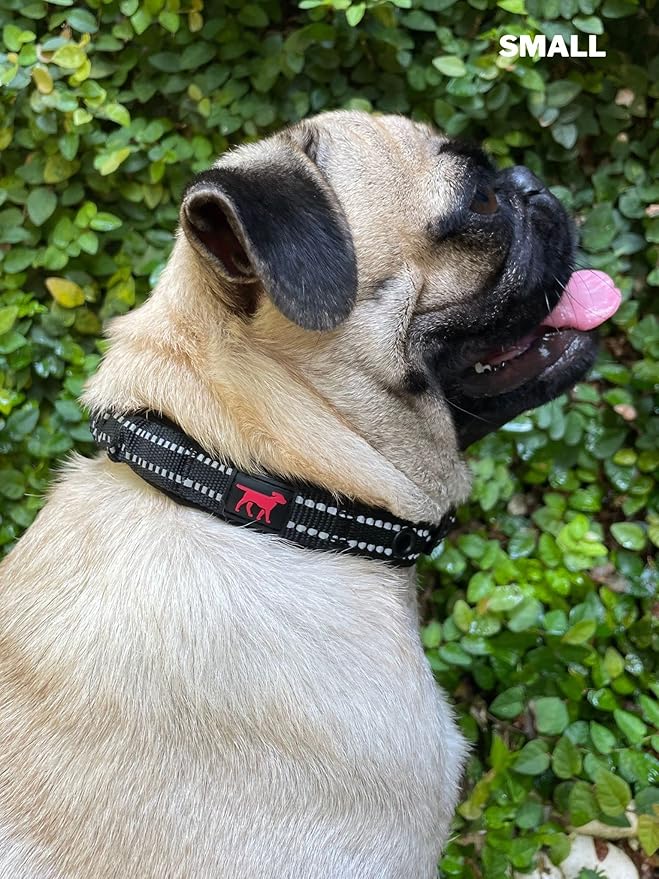 Tuff Pupper Heavy Duty Dog Collar with Handle | Ballistic Nylon Heavy Duty Collar | Padded Reflective Dog Collar with Adjustable Stainless Steel Hardware | Convenient Sizing for All Breeds