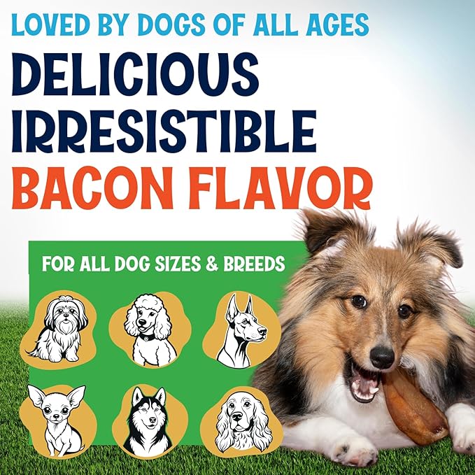 Whole Pig Ears for Dogs Large - 15 Pack Long Lasting Dog Chews โ Dog Treats One Ingredient Delicious All Natural Flavor โ Easy to Digest Dog Treats for Large Dog - Great for Teeth and Gums