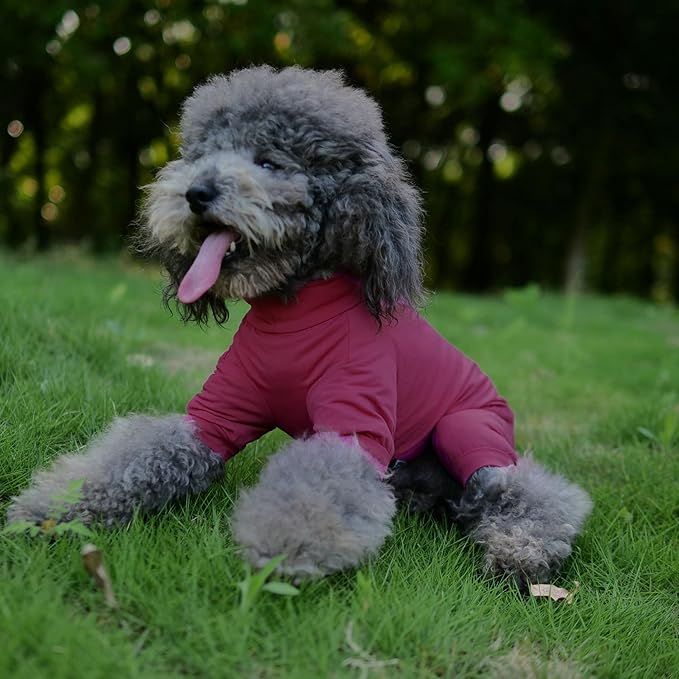 LoveLongLong Dog Jumpsuit with UV Protection and Quick-Dry Fabric for Spring Summer Pet Pajamas Taro Purple L