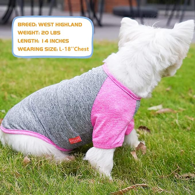 KYEESE 2 Pack Dog Shirts Raglan Sleeve Quick Dry Soft Stretchy Dog T-Shirts with Reflective Label Pet Clothes for Small Dogs
