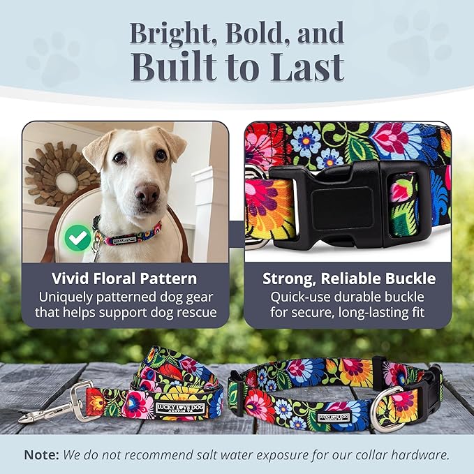 Lucky Love Dog - Easy Click Buckle Dog Collar with Leash Set Combo, Durable & Comfortable for Male & Female Dogs, Pet Collar for Small to Large Dogs, Secure Fit - Blackbird Combo, Medium