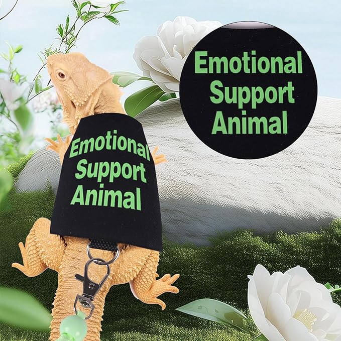 Bearded Dragon Harness and Leash Set Adjustable Reptile Lizard Leash Rope Vest Clothes Starter Kit Accessories for Small Animal Outdoor Walking Training