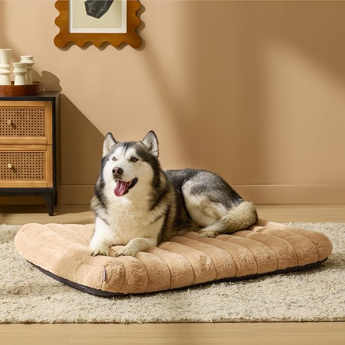 Lesure Cute Orthopedic Dog Bed for Extra Large Dogs, XL Waterproof Chic Flat Pet Beds with Removable Washable Cover, Fuzzy Thick Egg Crate Foam Pet Mat for Indoor Use (44" x 32", Beige)