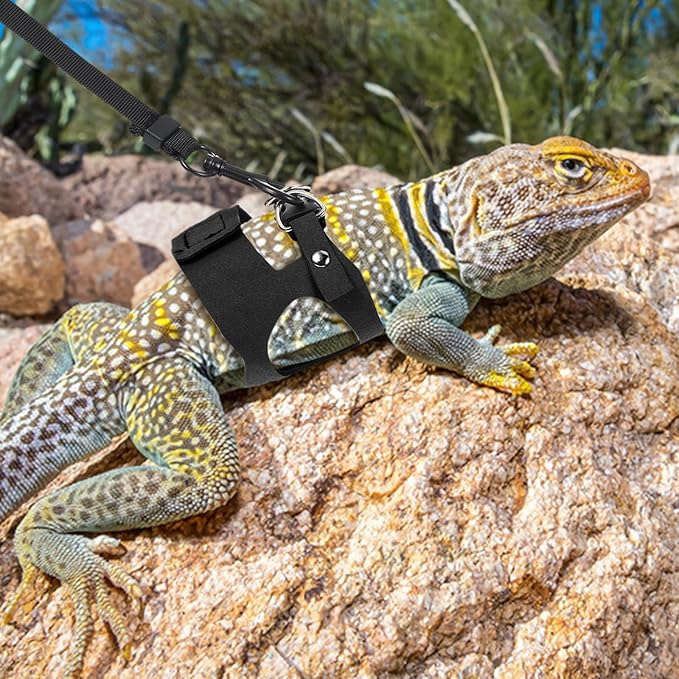 3 Pack Bearded Dragon Harness and Leash Set, 3 Sizes Adjustable Cool Orange Reptile Harness Leash, Adjustable Soft Leather Lizard Harnesss with Retractable Leashes for Reptile Squirrel Rat