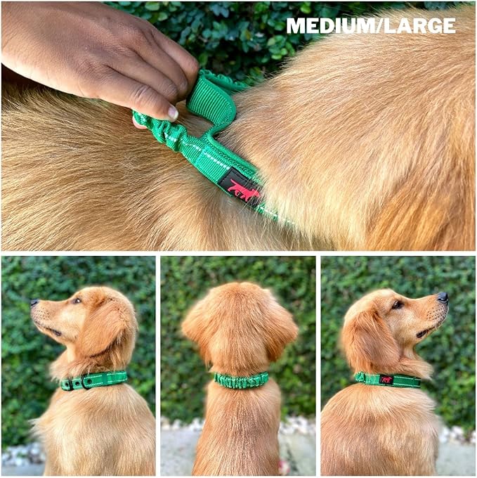 Heavy Duty Dog Collar With Handle | Ballistic Nylon Heavy Duty Collar | Padded Reflective Dog Collar With Adjustable Stainless Steel Hardware | Convenient Sizing for All Breeds