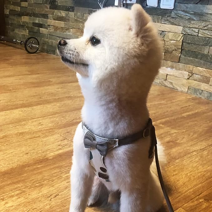 Puppytie No Pull Small Dog Harness with Multifunction Dog Leash,Lightweight Soft Adjustable No Choke Escape Proof Pet Harness Vest Pet Harness Vest,Smoke Grey,S