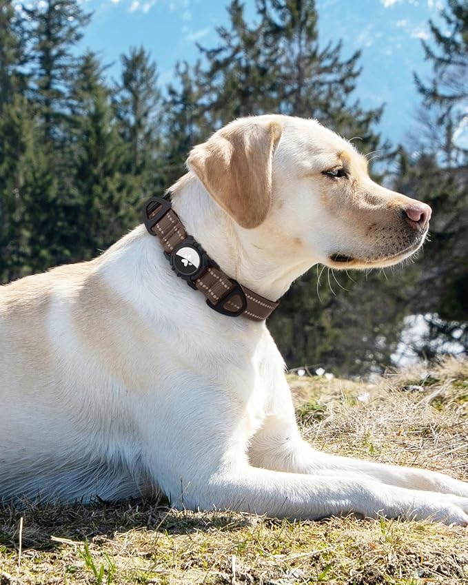 Joytale Airtag Dog Collar, Dual D-Rings, Reflective Pet Collar with Waterproof AirTag Holder, Soft Padded Adjustable for Small Dogs, Brown, S