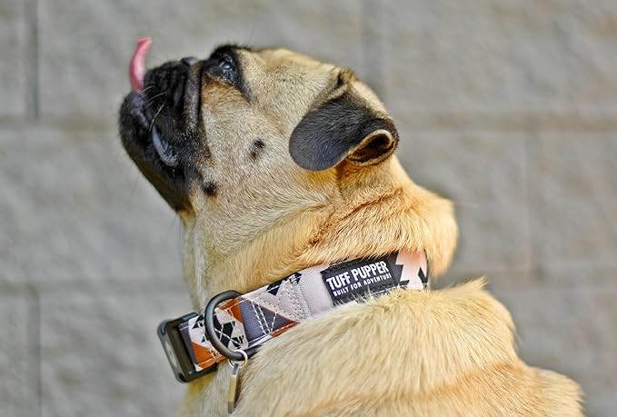 Tuff Pupper Premium Adjustable Dog Collar for Medium Boy & Girl Dogs, Stylish Pattern Collars Designed in USA, Quick Release Buckle, NativePath Print, Medium (1 Inch Wide x 13-18 Inch Neck)