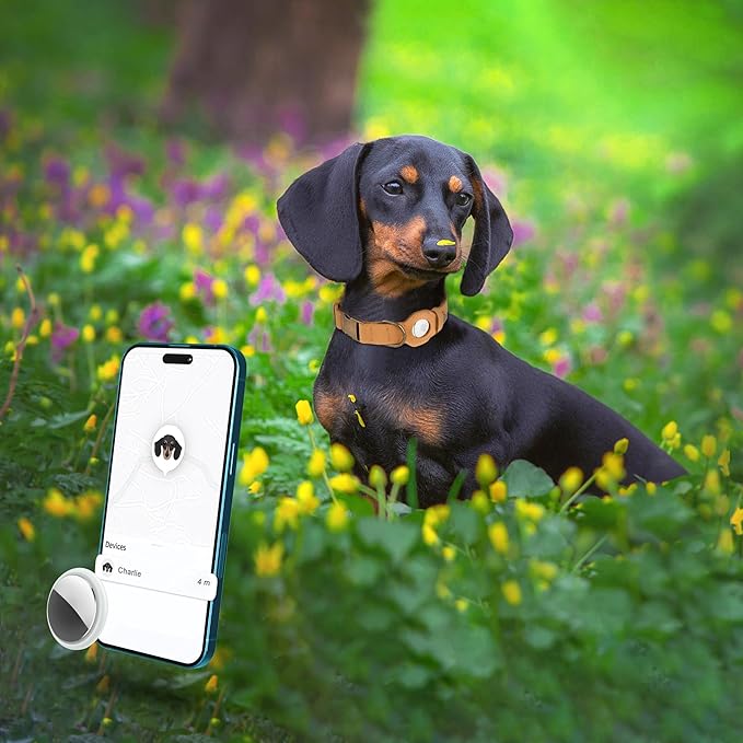 AirTag Dog Collar - Genuine Leather Dog Collar with Apple AirTag Holder and Metal Buckle - Smart GPS Tracking Pet Collars for Small Medium Large Dogs Puppy (Light Brown, L, 17"-21" Neck Fit)