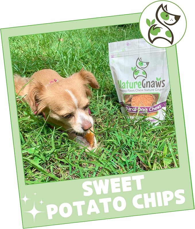 Nature Gnaws Sweet Potato Chips for Dogs - Single Ingredient Natural Dog Chew Treats - 12 oz