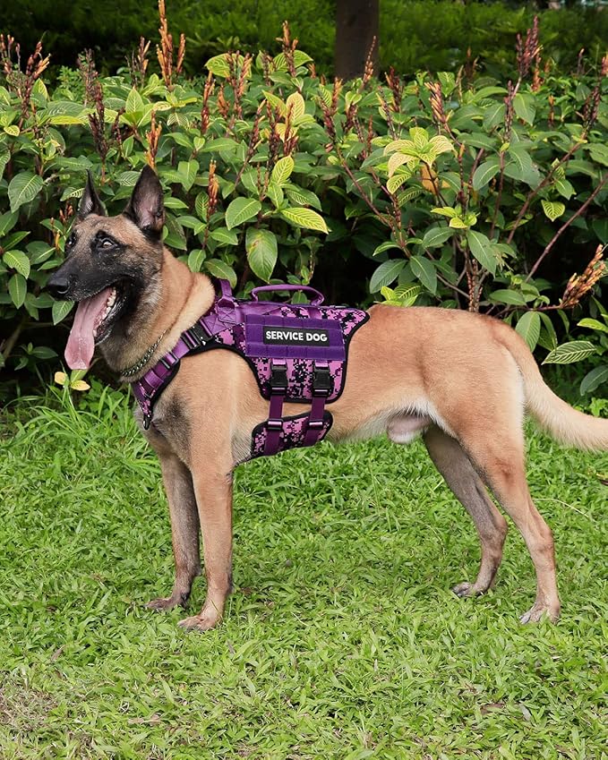 Tactical Dog Harness - PETNANNY Dog Harness Service Dog Vest for Large Breed Dog, Hook and Loop Panel for Service Dog Patchs, Work Dog MOLLE Vest with Handle for Walking Hiking Training(Purple Camo,M)