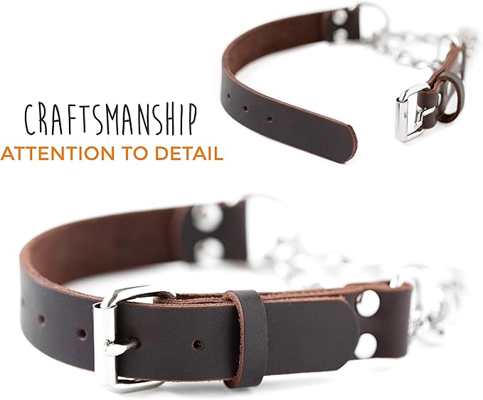 Mighty Paw Martingale Dog Collar - No Pull Design - Stainless Steel Chain - Limited Chain Cinch Training - Brown Leather Martingale Training Collar - Small Size