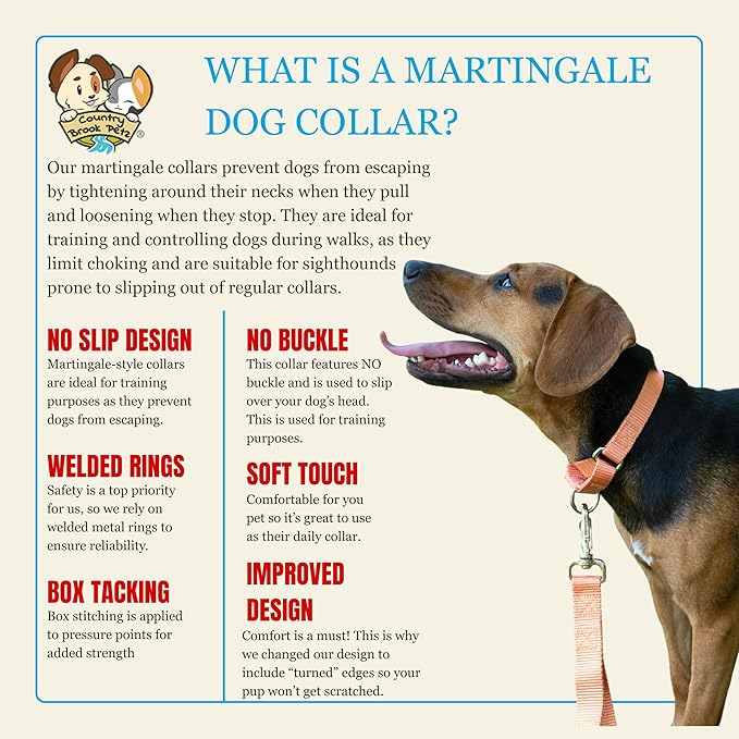 Country Brook Petz Martingale Dog Collar - Heavy-Duty Training Collar with No Buckle - Service Dog Collar for All Pups - Vibrant, Colorful Collection (Mango, 5/8 Inch, Extra Small)